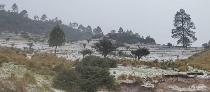 Campos de la Sierra de Los Cuchumatanes, en Todos Santos, Huehuetenango, quedaron cubiertos de granizo. (Foto Prensa Libre: Mike Castillo)