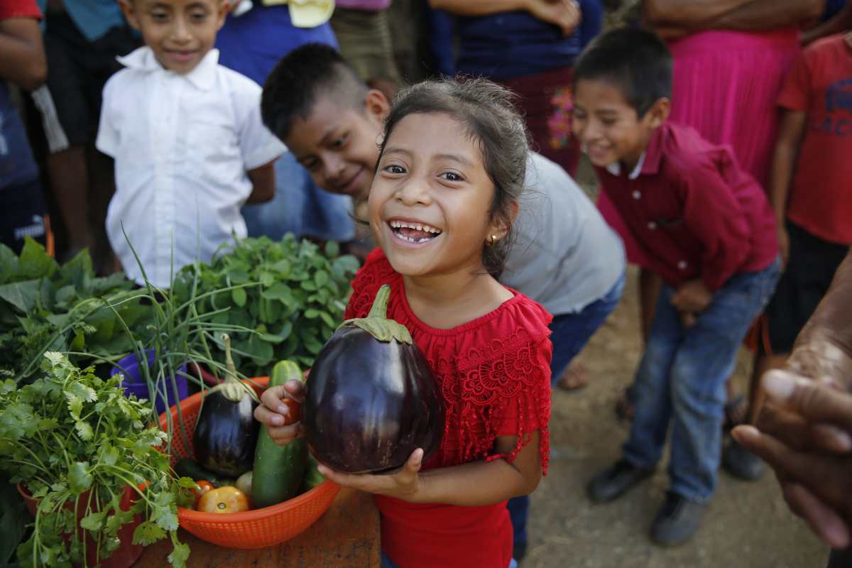 El PMA trabaja en proyectos de resiliencia en distintas comunidades del país, para disminuir la inseguridad alimentaria y la desnutrición crónica en la niñez. (Foto Prensa Libre: Cortesía PMA)