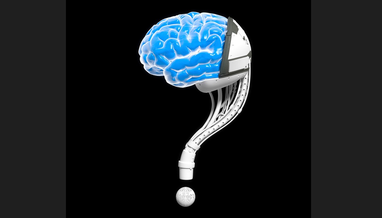 (Guyco/The New York Times)