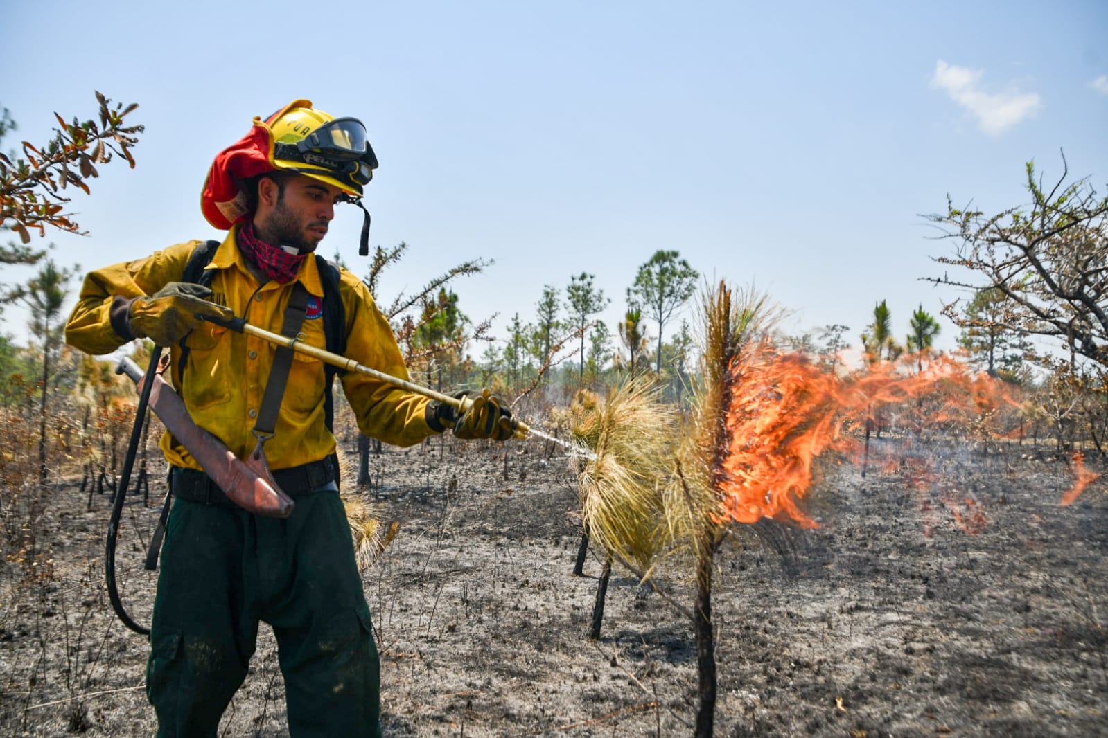 Casi 10 mil hectáreas se han consumido por los incendios forestales en el país. (Foto: Conred)