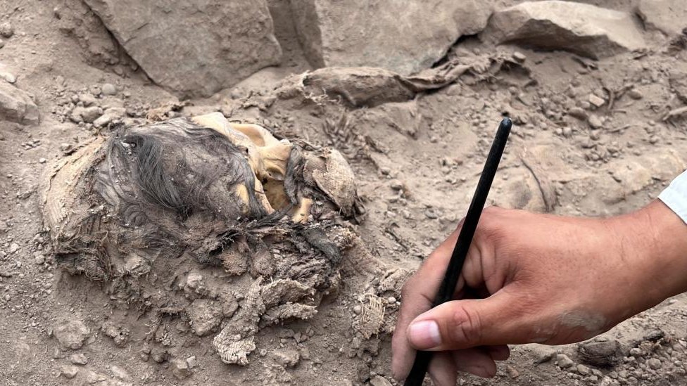 El cabello y el cráneo de la momia. (REUTERS)