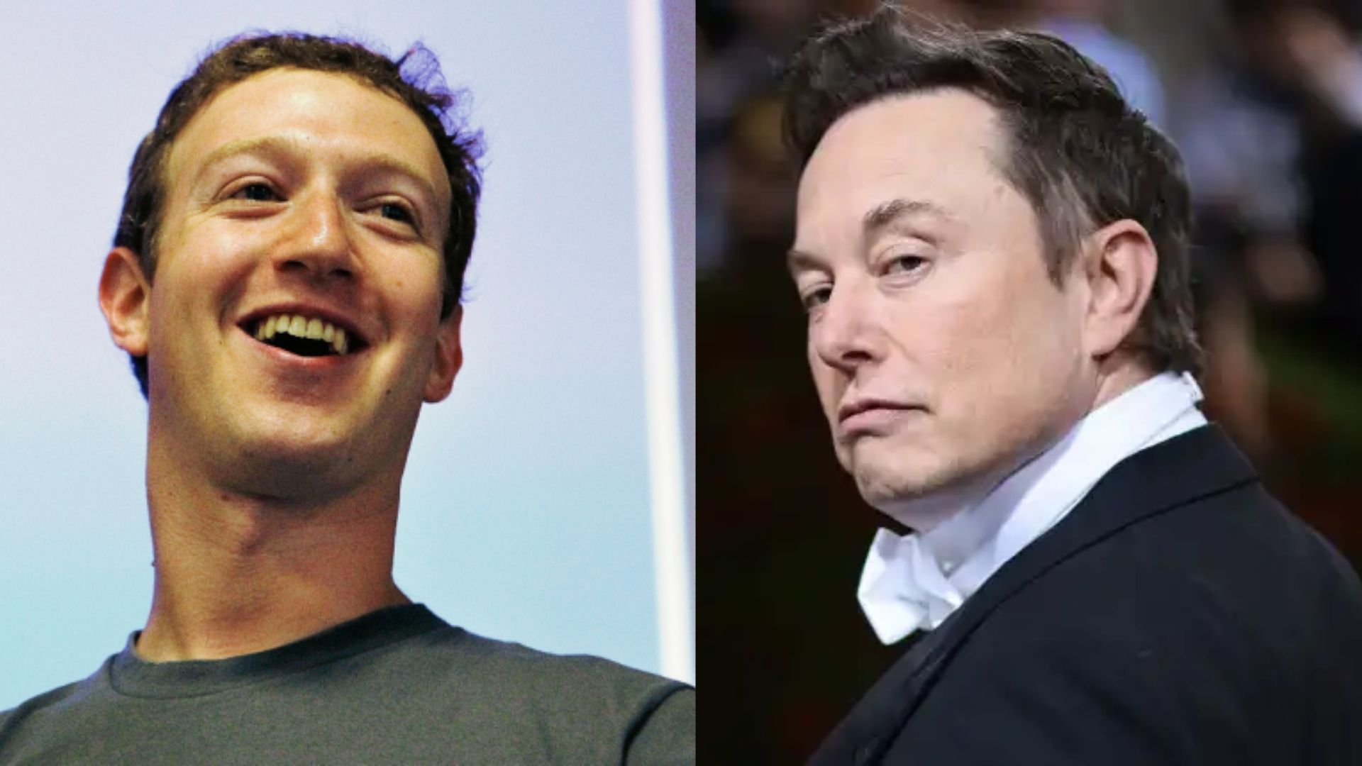 Pelea entre Elon Musk y Mark Zuckerberg