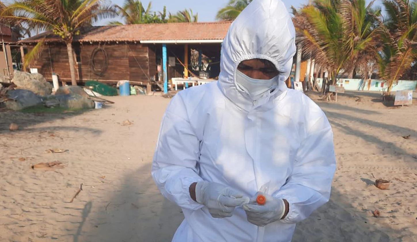 GRIPE AVIAR. MÉXICO