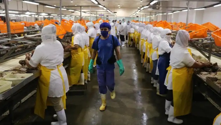 El panorama económico está sujeto a diversos factores relacionados al ámbito político, según analistas. (Foto Hemeroteca Prensa Libre)