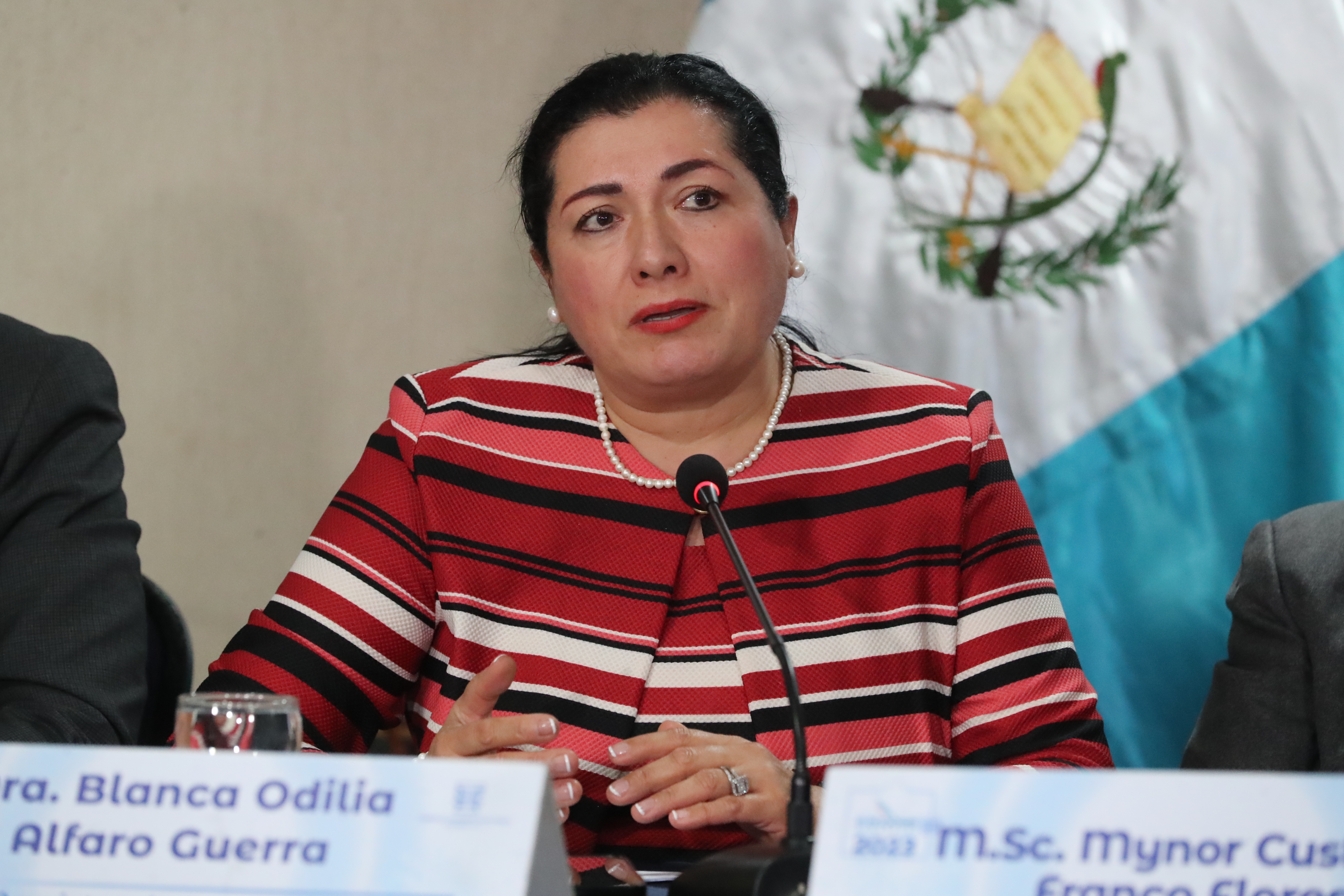 Blanca Alfaro, magistrada del TSE. (Foto Prensa Libre: Élmer Vargas)