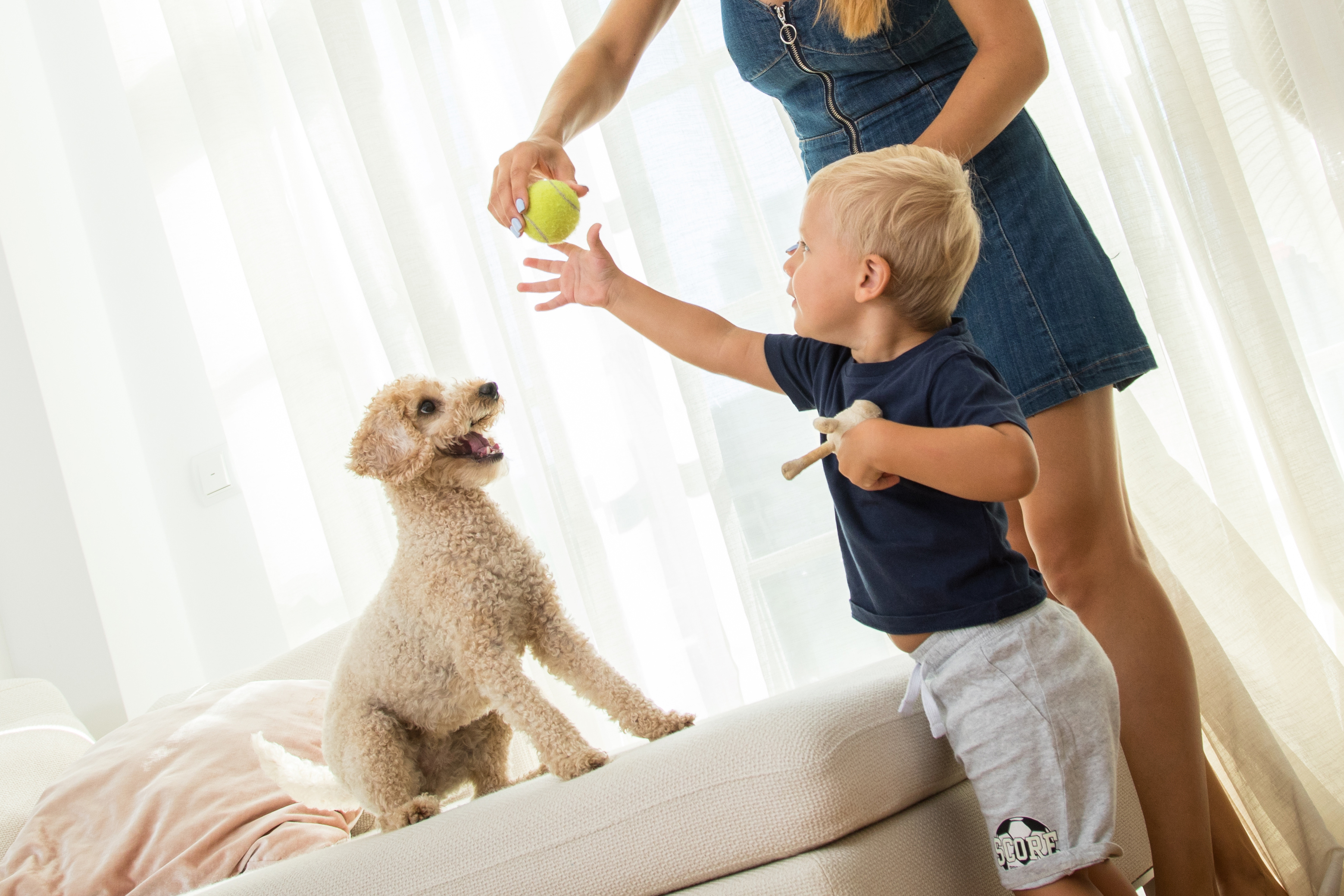 Perro, gato o hámster: ¿Qué mascota es adecuada para mi hijo?