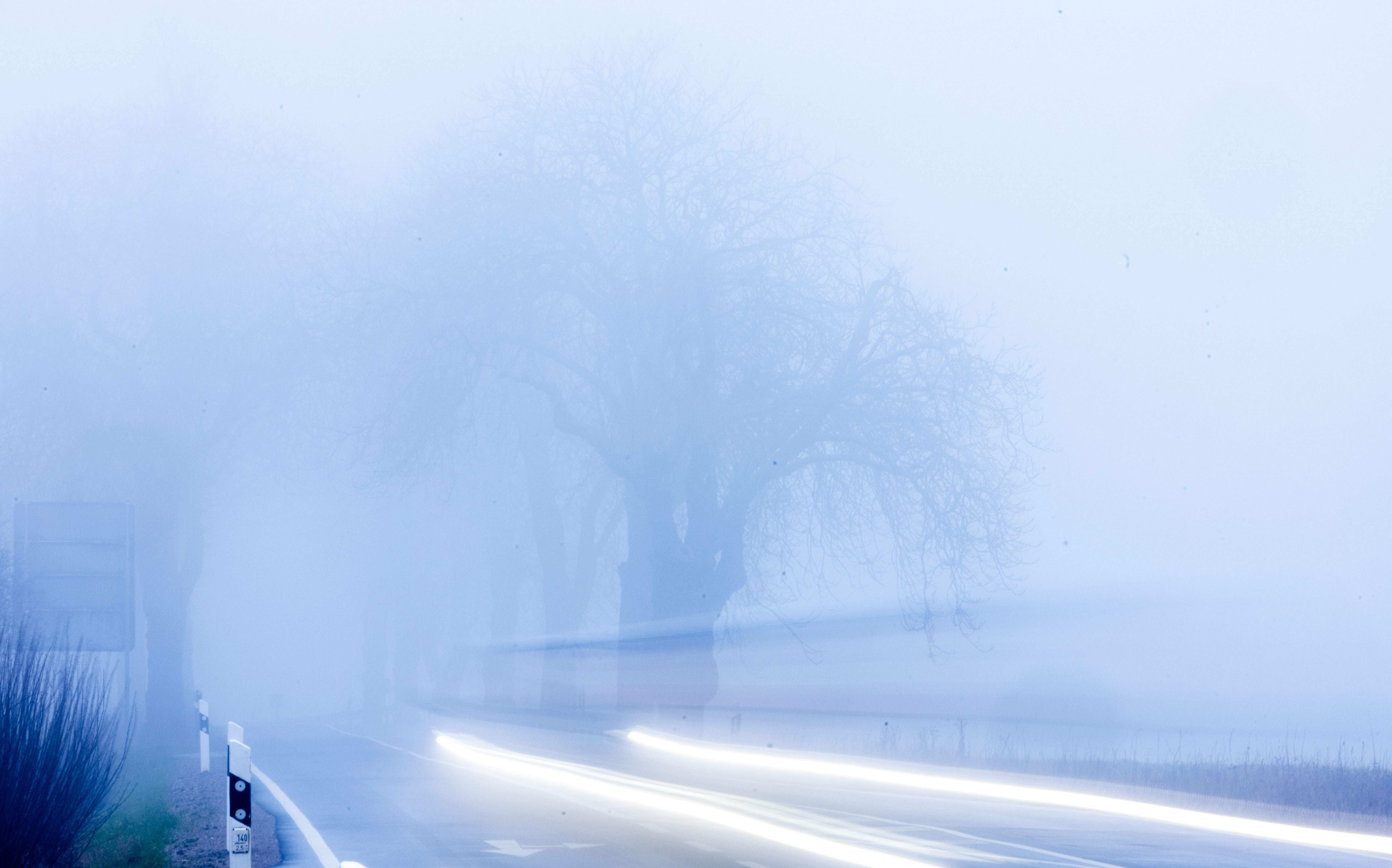 Qué tener en cuenta a la hora de conducir con niebla