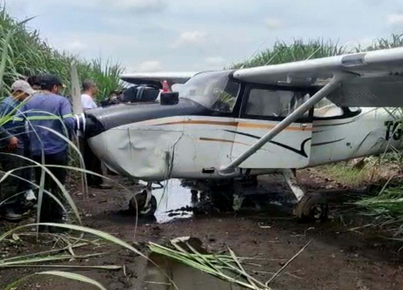 Avioneta realizó un aterrizaje forzoso en Masagua, Escuintla. (Foto Prensa Libre: captura de video Enrique Paredes)
