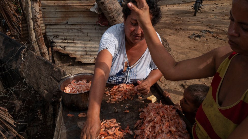 Una mujer limpiando los camarones capturados en el Lago de Maracaibo.