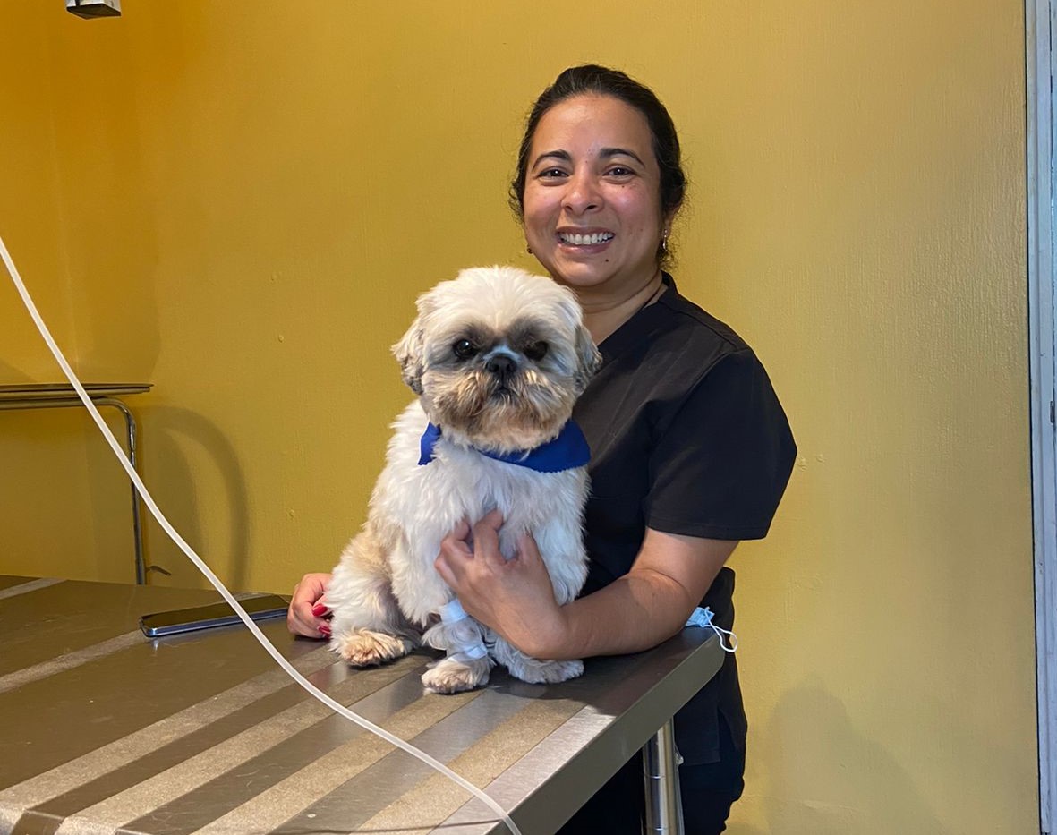 Médica veterinaria Karina Gutiérrez, de la Clínica Amigos, se especializa en Medicina Integrativa de mascotas. (Foto Prensa Libre, cortesía de Karina Gutiérrez)