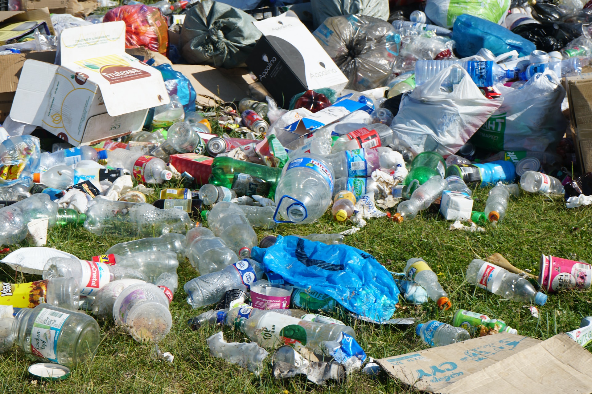 La clasificación de desechos ayuda al reciclaje, por lo que se recomienda separar la basura orgánica de la inorgánica. (Foto Prensa Libre: Ariungoo Batzorig en Unsplash).
