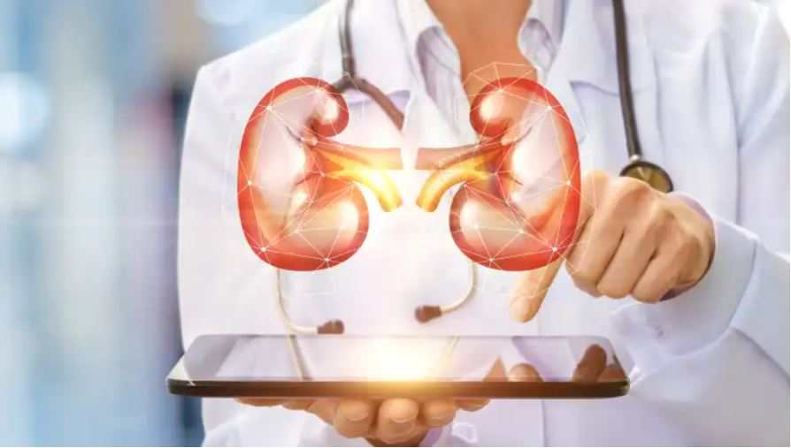 Kidneys how to remove it and home remedies