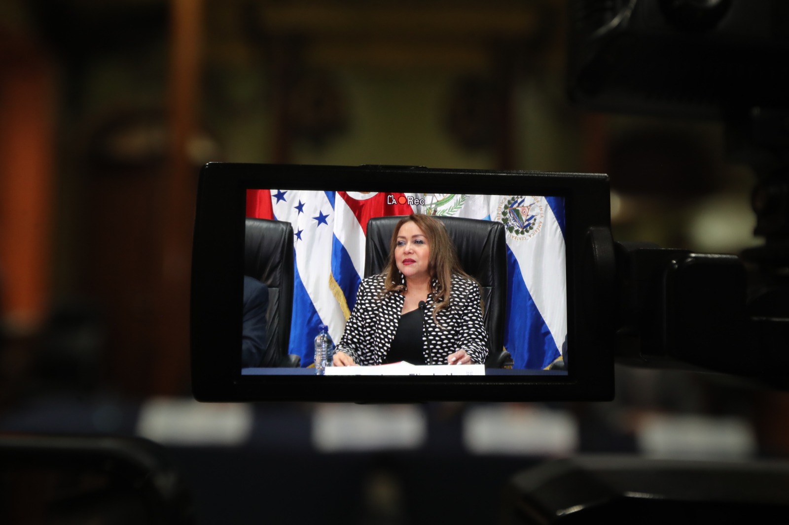 Irma Palencia, magistrada presidenta del TSE Guatemala. (Foto Prensa Libre: Elmer Vargas)