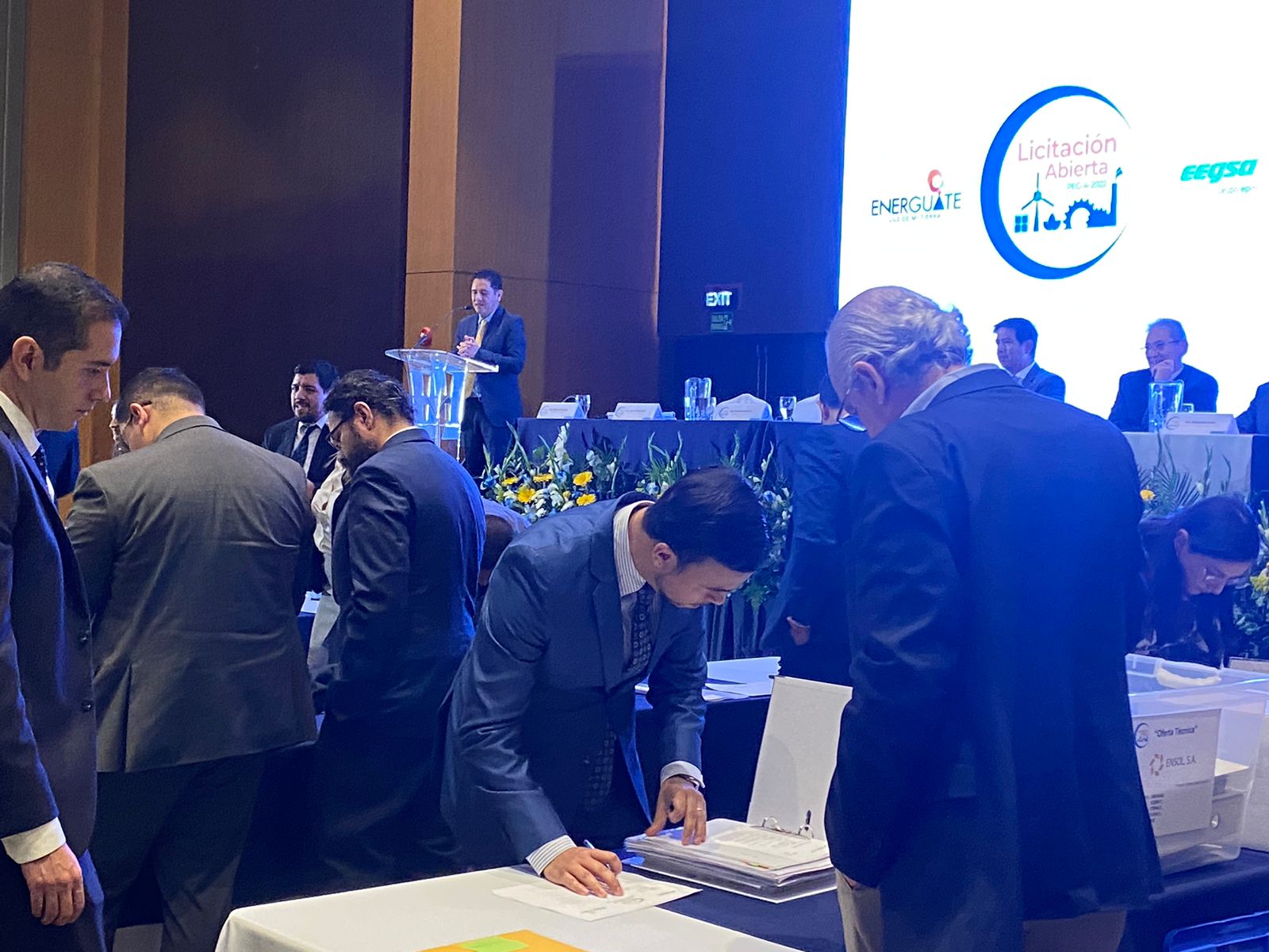 Licitación de energía: 48 empresas presentan ofertas para generar 235 megavatios