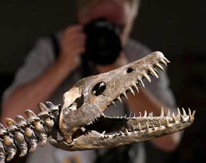 Dos esqueletos de dinosaurio se venderán en subasta en Nueva York y por qué uno de ellos se asocia al monstruo del Lago Ness