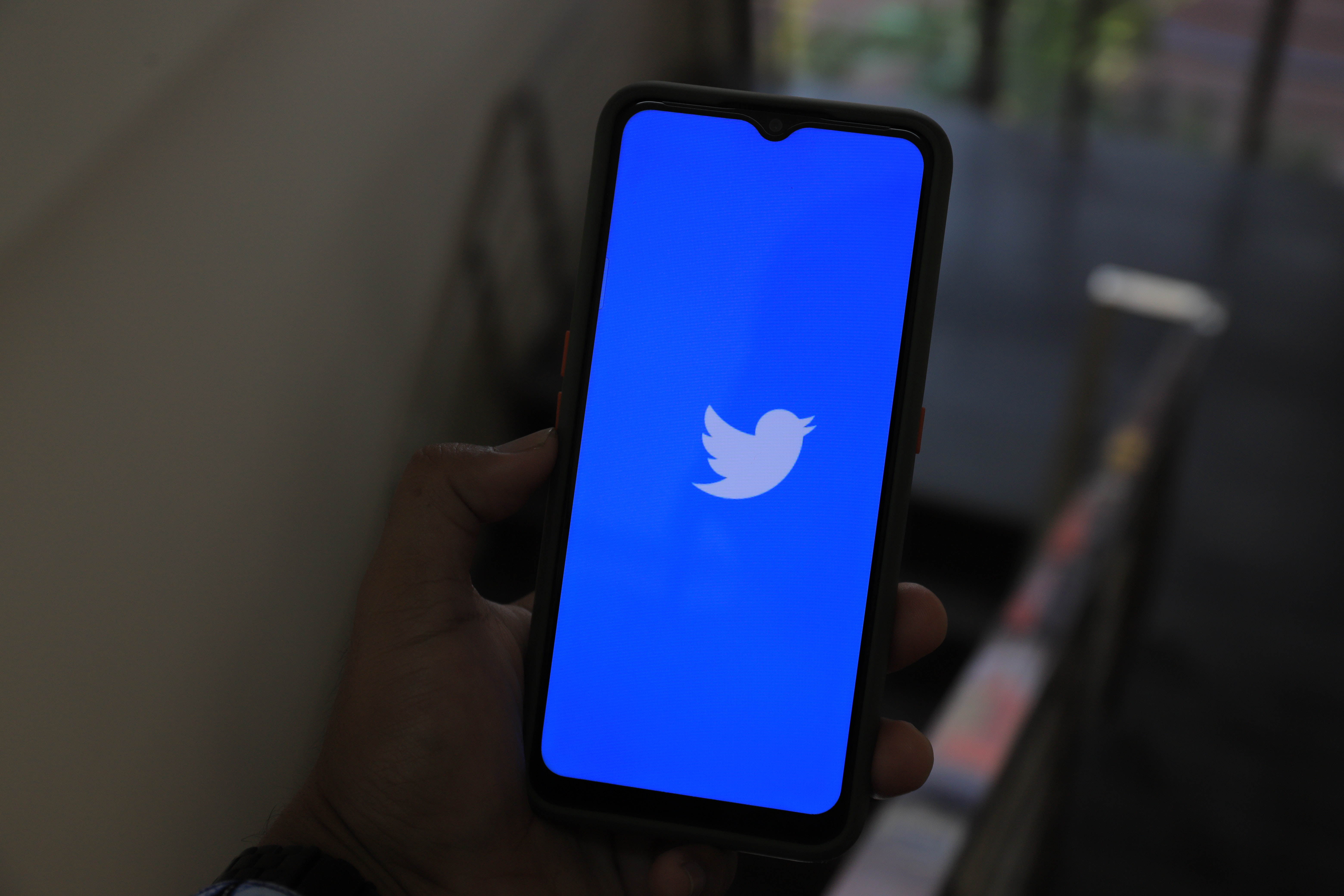 Twitter, fundada en 2006, ha utilizado la marca de imagen alada desde sus inicios.  (Foto Prensa Libre: greenwish _/Pexels)
