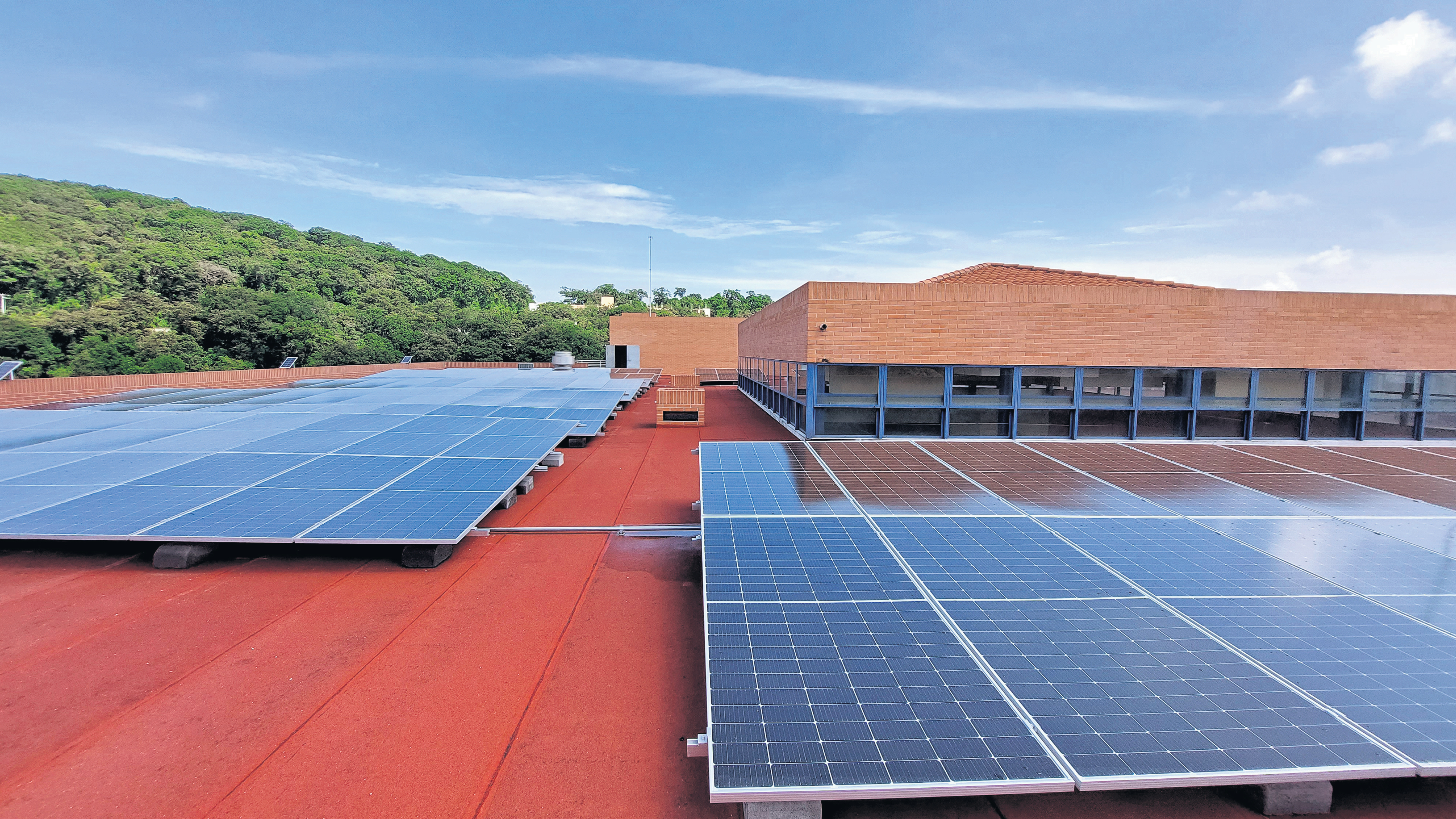Fotografía: María Fernanda Mérida / Prensa Libre.