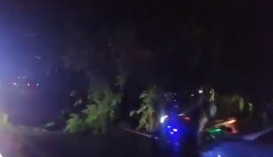 Caos vehicular en ruta Interamericana