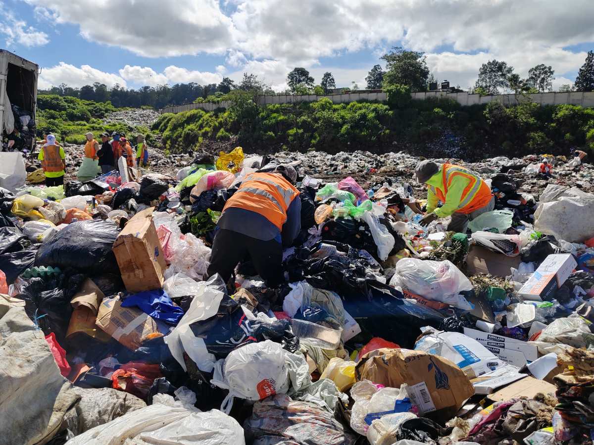 Separación de desechos en Guatemala: Así debe clasificar su basura con los cambios al reglamento y lo que será obligatorio en 2025