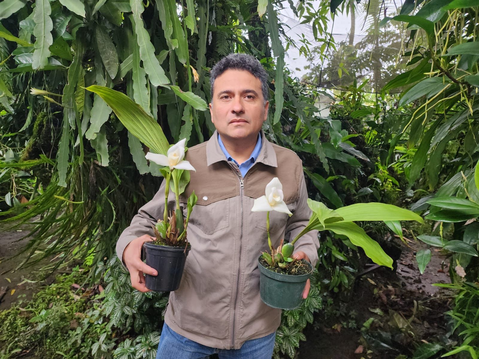 Fredy Archila: El cobanero que regresó a Guatemala su flor nacional
