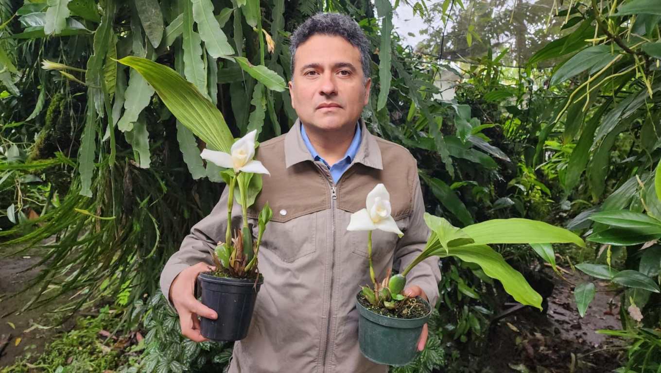 Fredy Archila: El cobanero que regresó a Guatemala su flor nacional