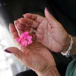 Mientras los recuerdos de los pacientes con Alzheimer se desvanecen, los familiares intentan por dar calidad de vida a sus seres amados. (Foto Prensa Libre: María Reneé Barrientos)
