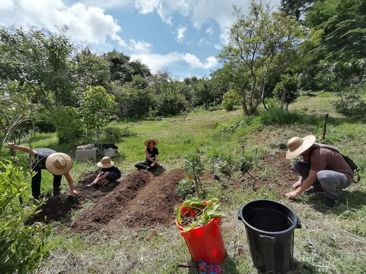 Familias guatemaltecas utilizan compost para revitalizar los suelos.   (Foto Prensa Libre: cortesía: @lombricompstgt)