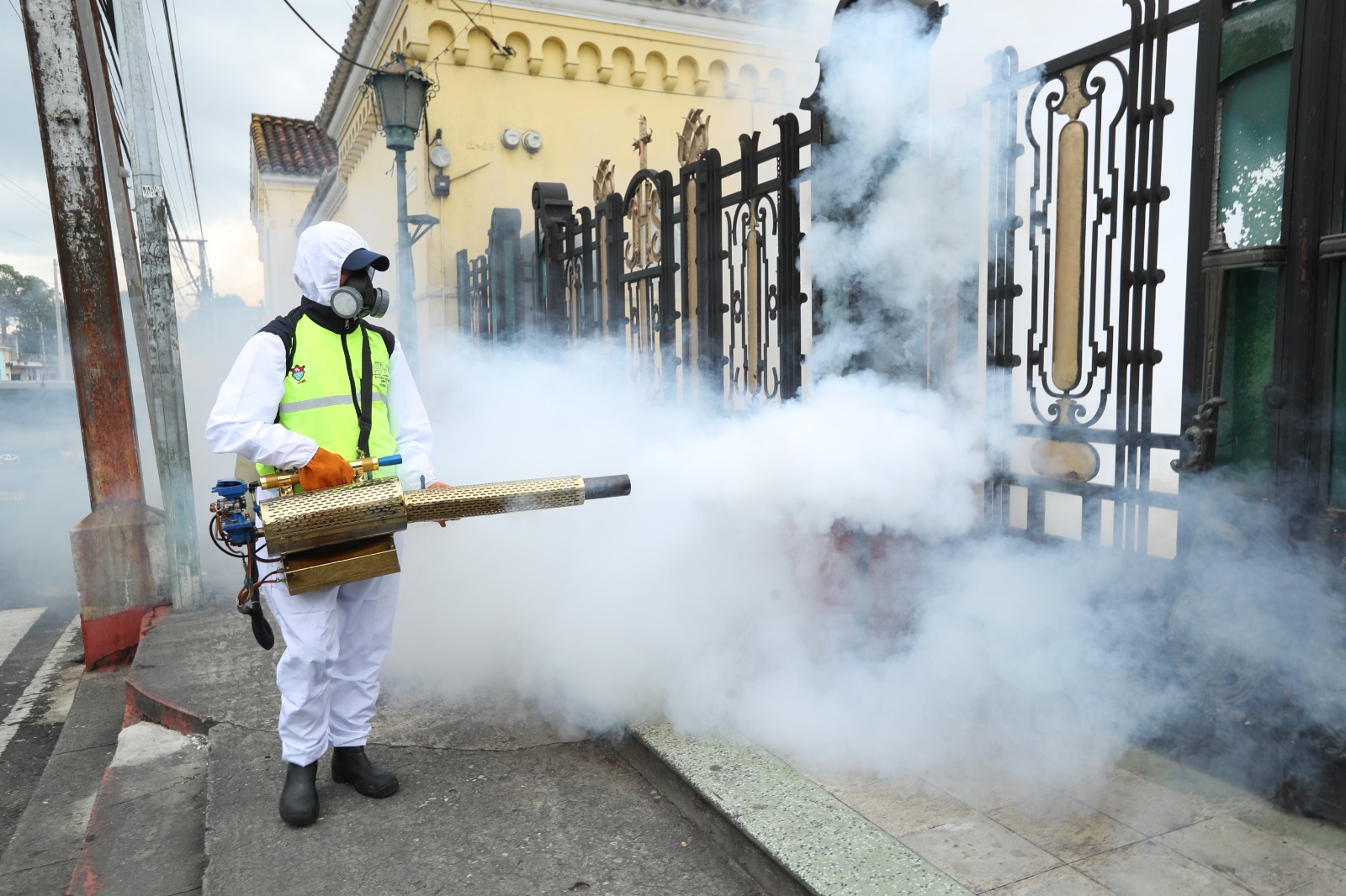 Dengue: cuáles son los síntomas de alarma, qué grupo está en riesgo y cuáles son las medidas importantes en casos graves