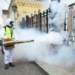 fumigacion de dengue