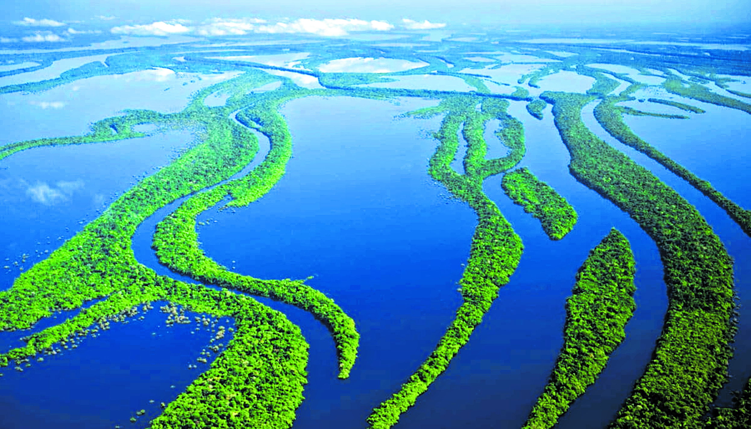 Las 14 personas que viajaban a bordo de una avioneta murieron cuando sobrevolaban la Amazonia. (Foto Prensa Libre: Hemeroteca PL)