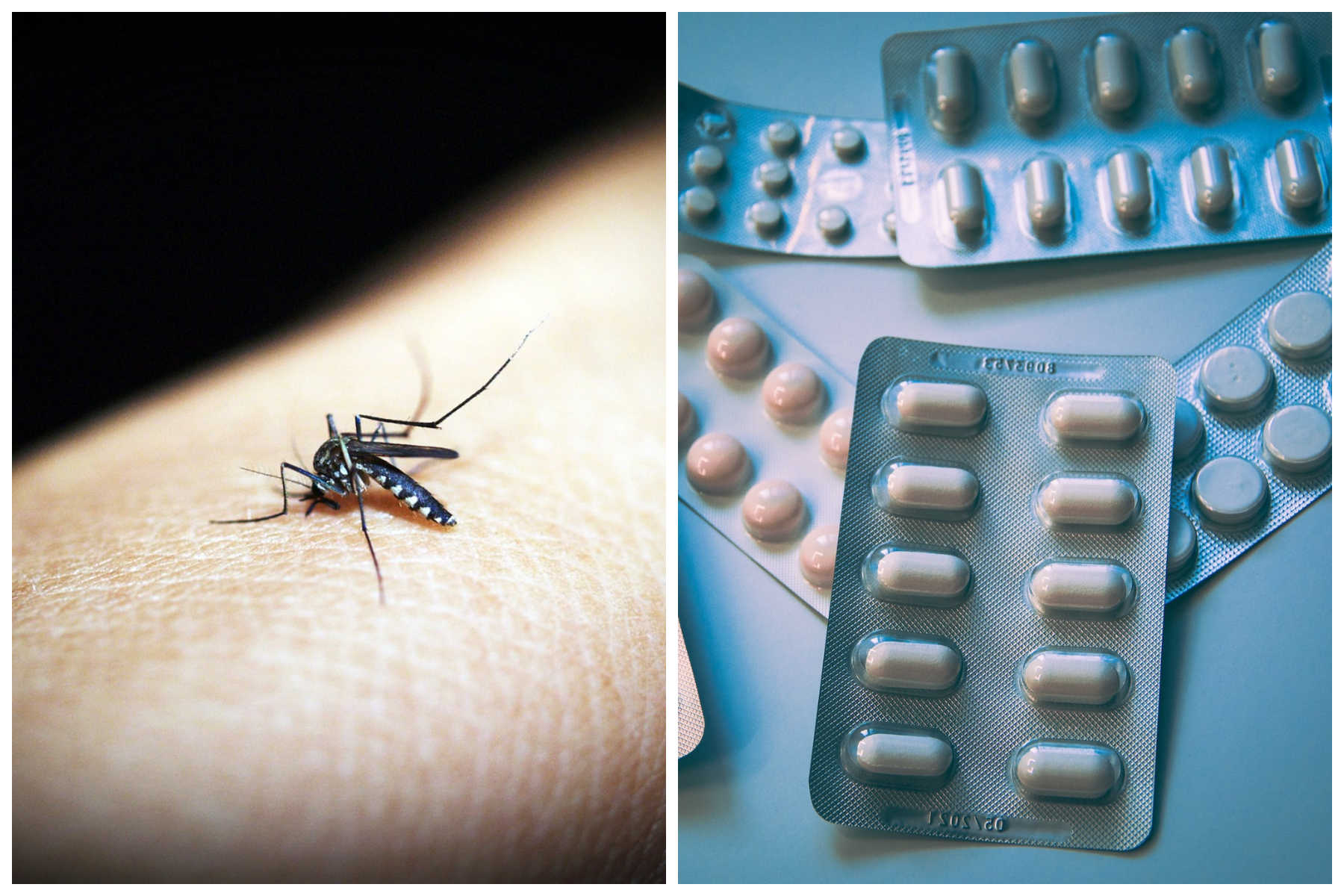 Que Debo Tomar Para El Dengue