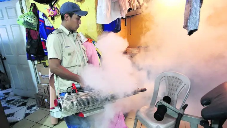 Dengue en Guatemala: las acciones de prevención que anunciaron las autoridades para prevenir más casos