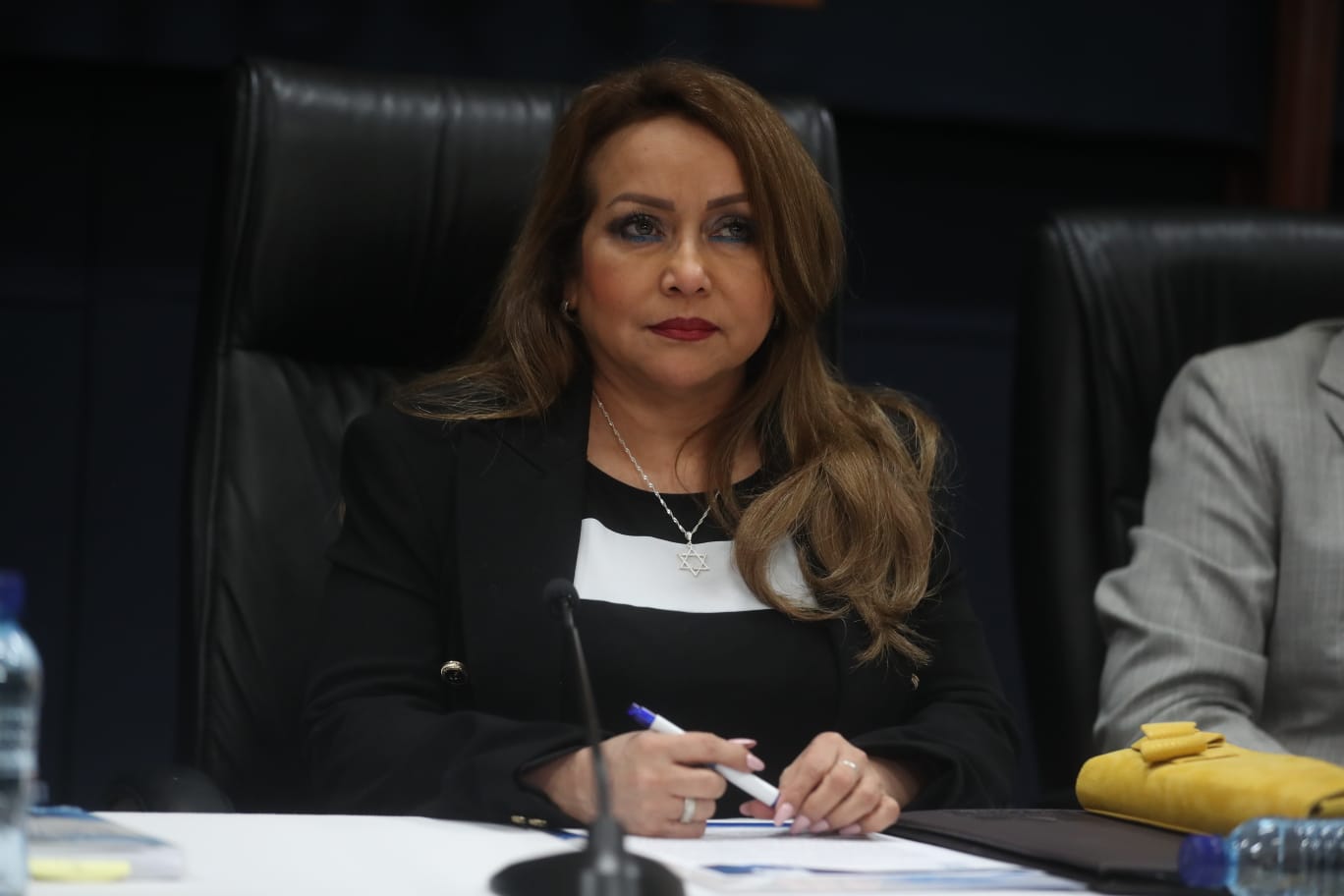 irma palencia presidenta tse