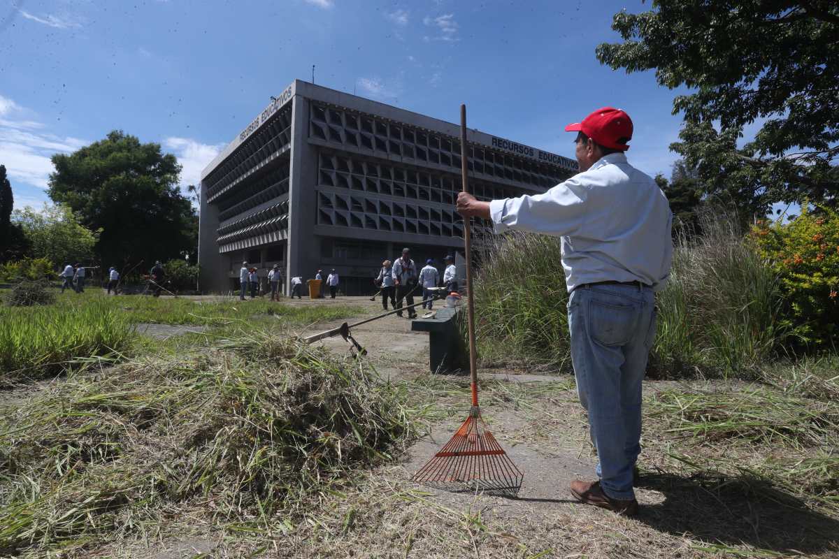 Los trabajos de limpieza en el campus central de la Usac llevará varias semanas, según trabajadores. (Foto Prensa Libre: Juan Diego González)