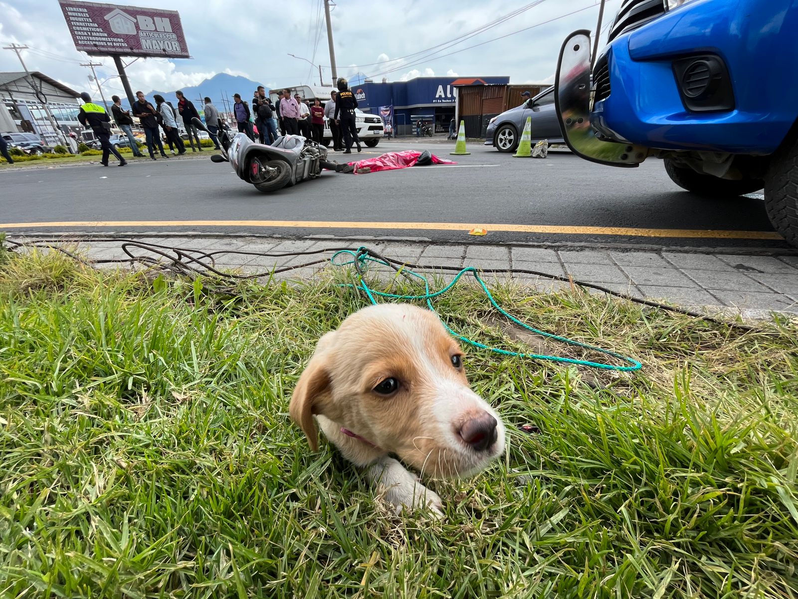 Accidente en Quetzaltenango: Qué seguimiento dio la PNC al caso de la joven motorista que viajaba con un cachorrito y murió arrollada por un camión