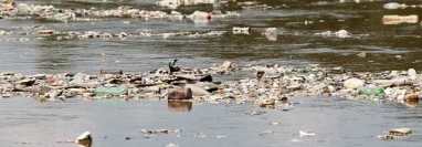 Este 4 de septiembre fue localizada una cabeza humana en el rio Cabuz, en San Marcos. (Foto Prensa Libre: Hemeroteca PL).