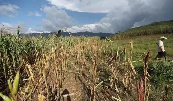 Las disminución de lluvias es uno de los efectos del fenómeno del Niño en nuestra región. (Foto Prensa Libre: Hemeroteca)
