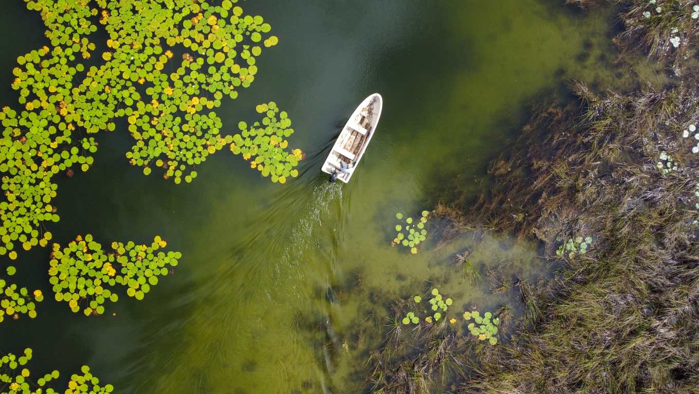 Barco en un lago en el bosque de Puerto Arturo, un sector en el corazón de la Reserva de la Biosfera Maya, en Petén, Guatemala, en donde la ganadería ilegal ha deforestado casi la mitad de la Reserva de la Biosfera Maya. (Foto Prensa Libre: AFP)