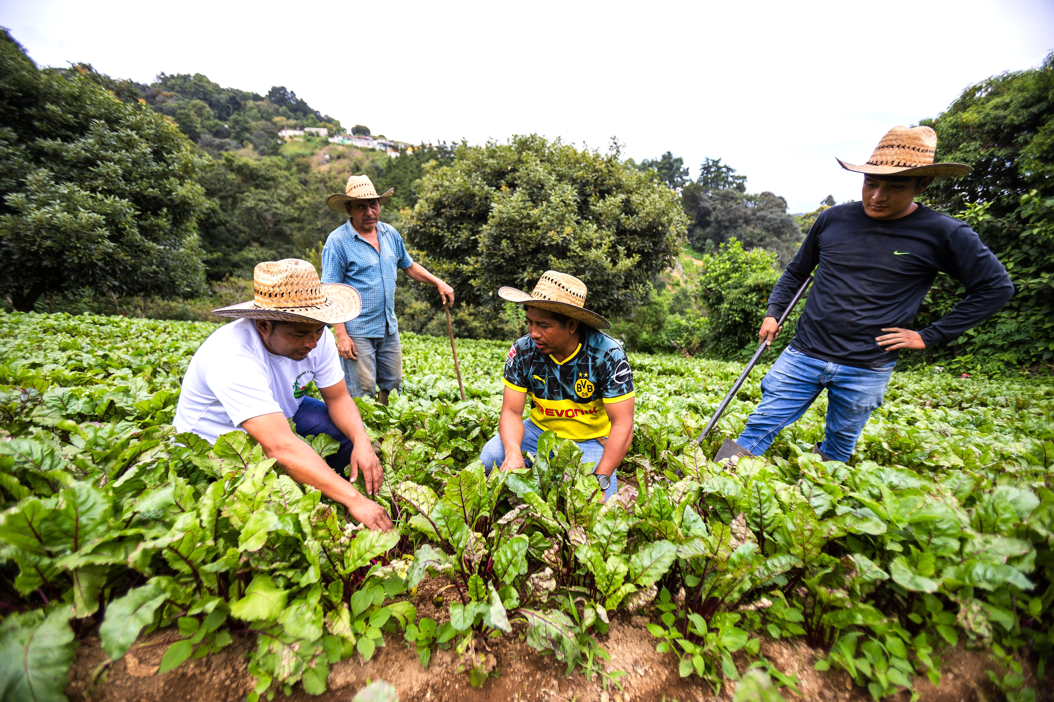 Emprendimientos que se fortalecen como Tierra Fértil