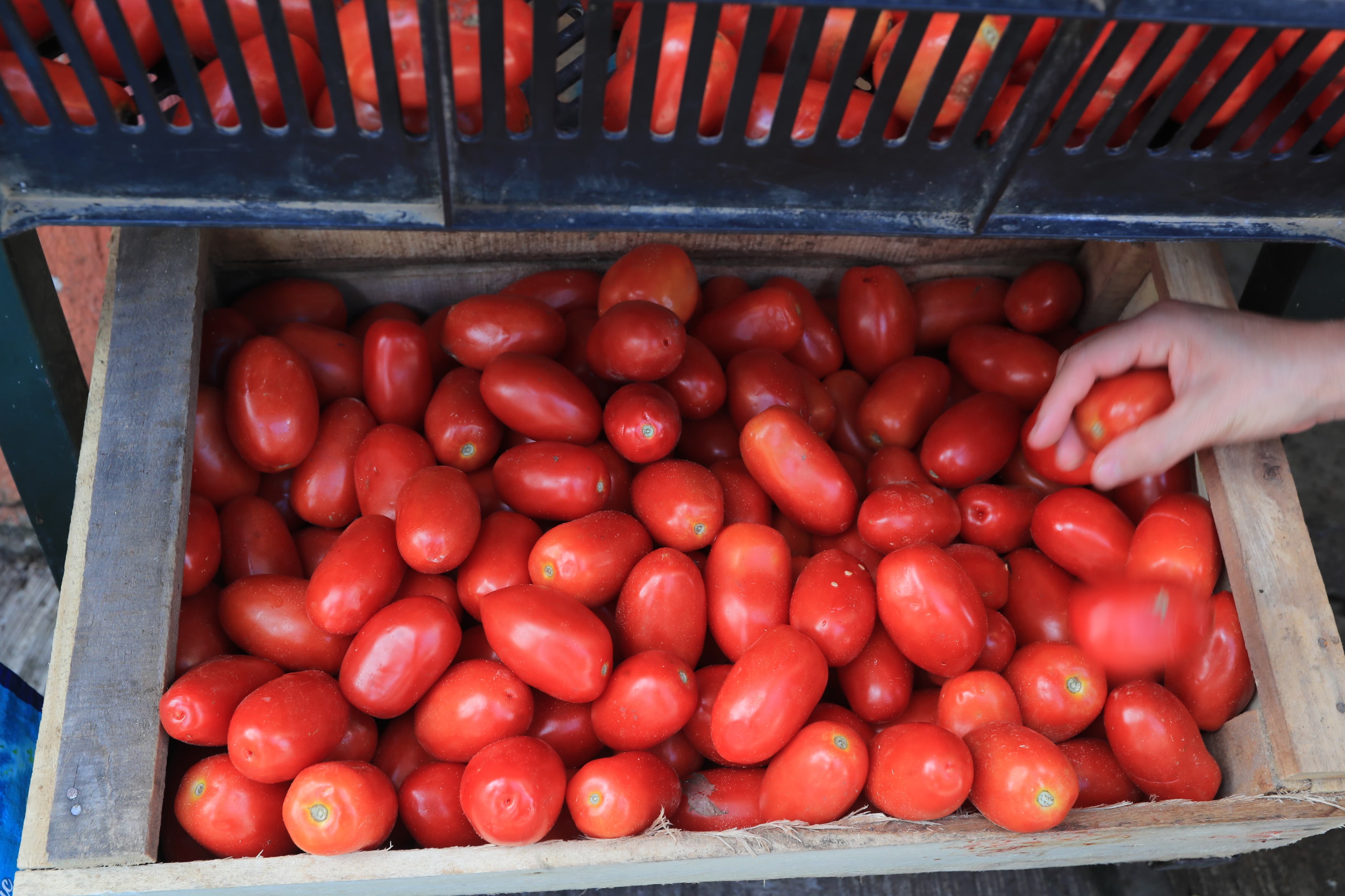 El tomate fue uno de los productos que registró alza en septiembre y que incidió en la inflación mensual. (Foto Prensa Libre: Juan Diego González) 
