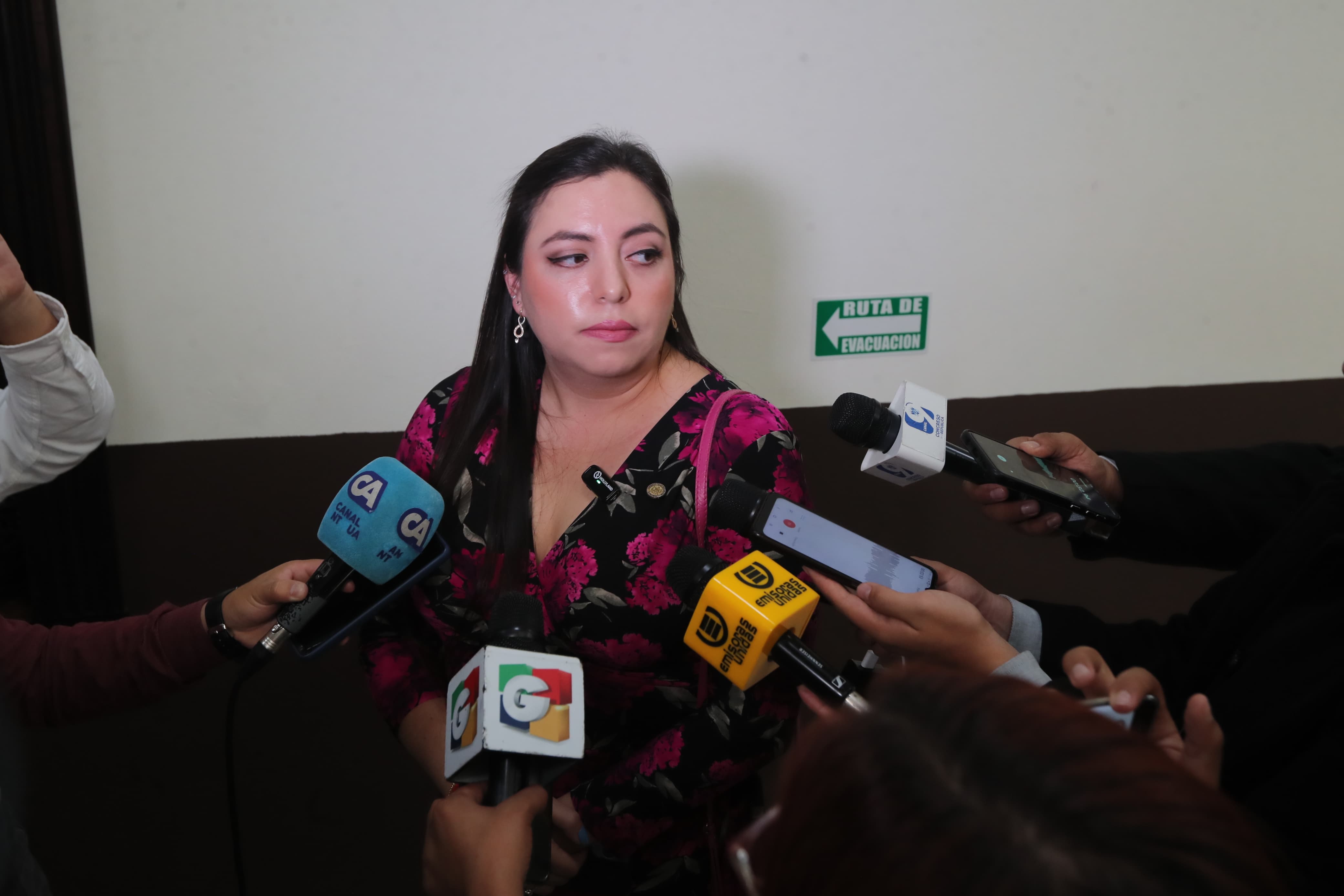 La diputada Andrea Villagrán preside la Comisión Pesquisidora que debe conocer el antejuicio contra el vicepresidente Guillermo Castillo. (Foto Prensa Libre: Élmer Vargas)