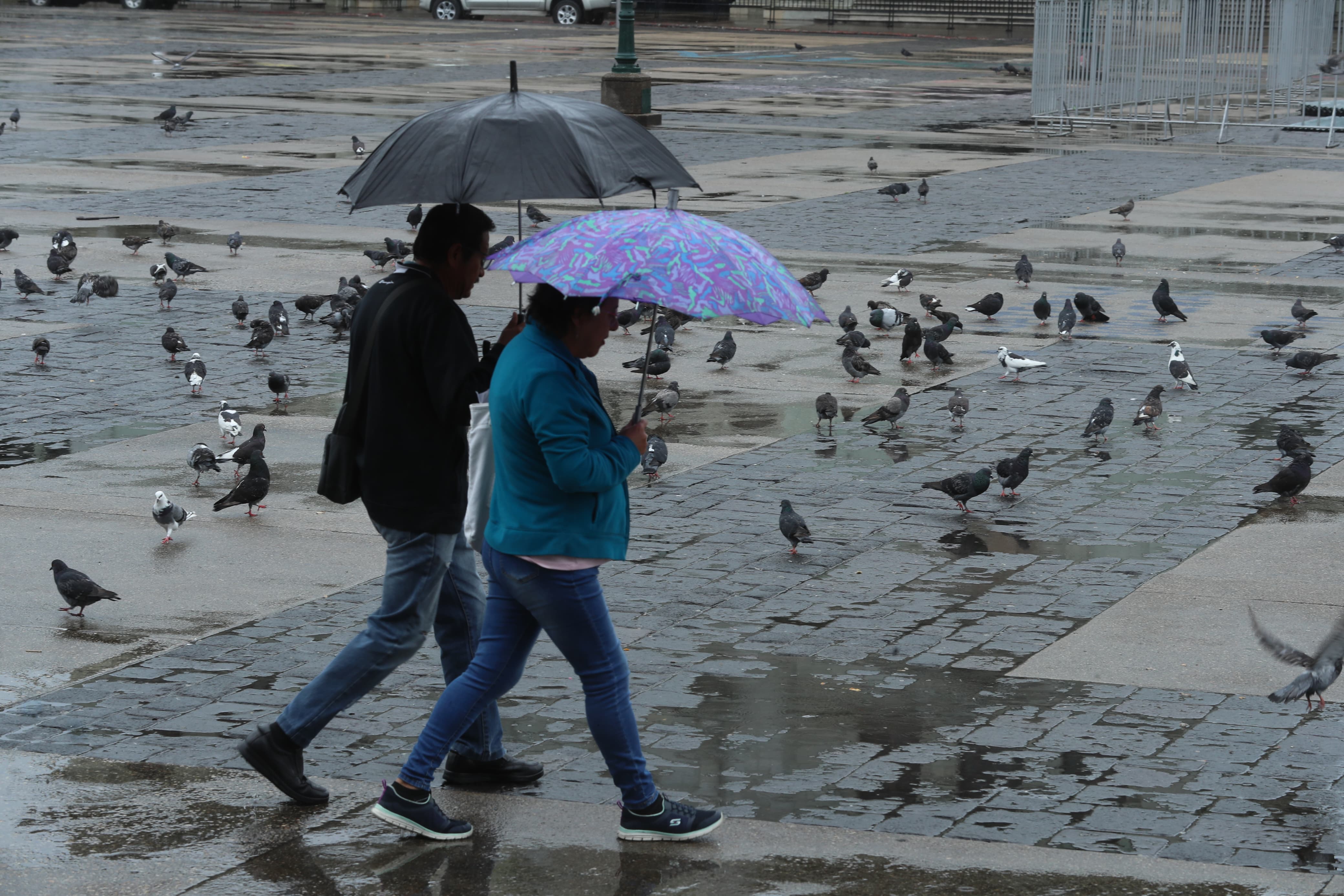 Las lluvias persistirán en varias regiones de Guatemala, según las proyecciones del Insivumeh. (Foto Prensa Libre: Esbin García) 