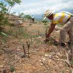 La seguridad alimentaria también se ve afectada por la irregularidad de las lluvias que provocan la pérdida de cosechas por las sequías. Un agricultor en un área del Corredor Seco. (Foto Prensa Libre: Hemeroteca PL)