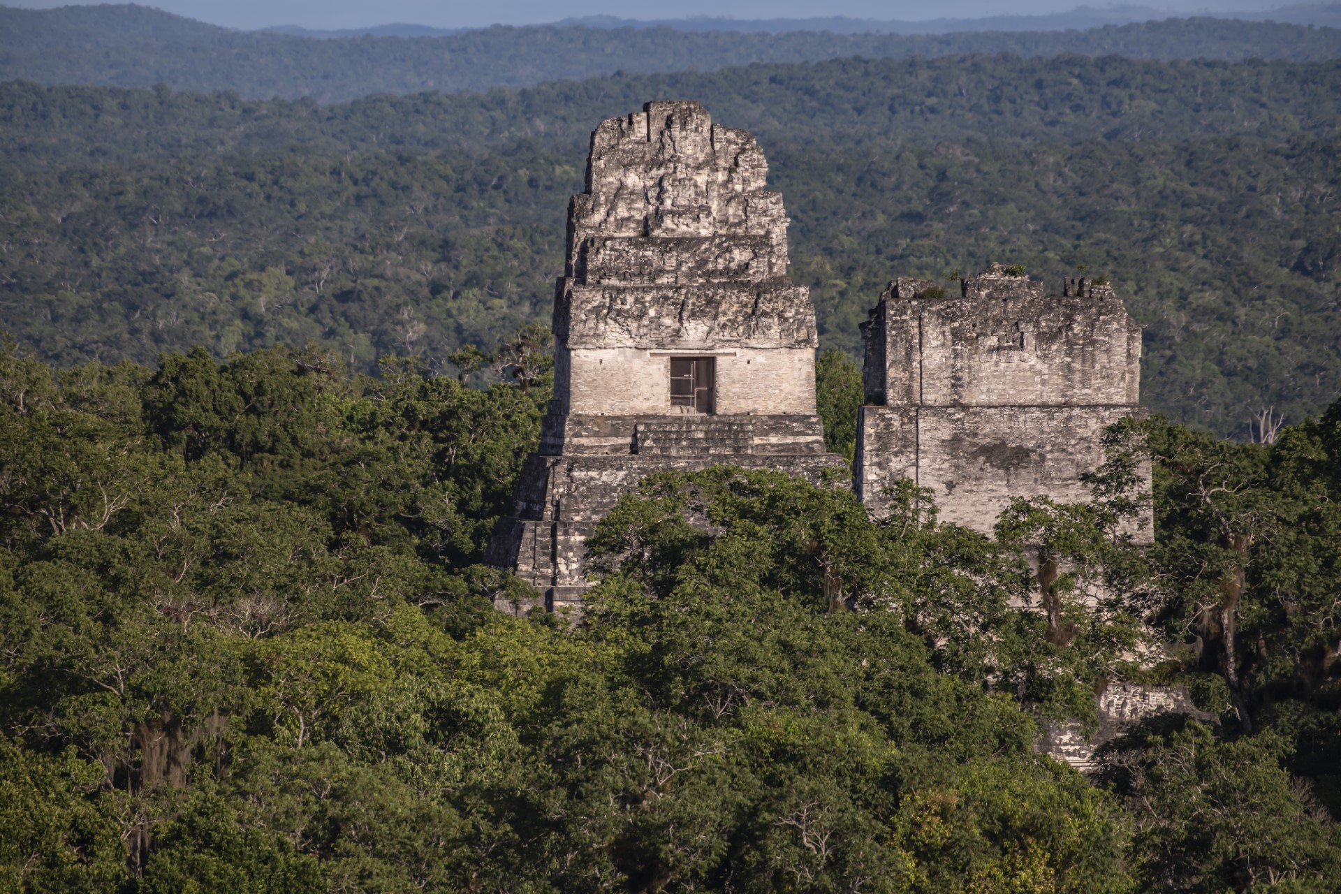 El Parque Nacional Tikal ofrece la posibilidad de comprar en línea los boletos de entrada. (Foto Prensa Libre: Freepik)