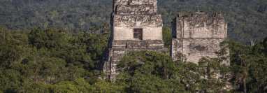El Parque Nacional Tikal ofrece la posibilidad de comprar en línea los boletos de entrada. (Foto Prensa Libre: Freepik)