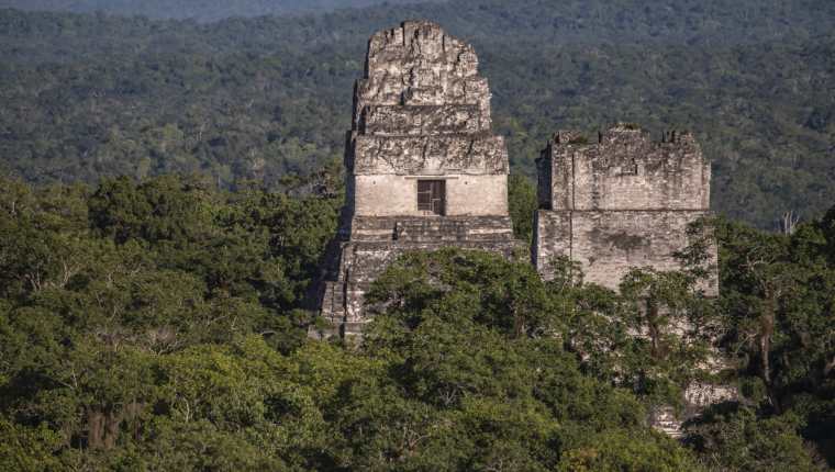 El Parque Nacional Tikal ofrece la posibilidad de comprar en lÃ­nea los boletos de entrada. (Foto Prensa Libre: Freepik)