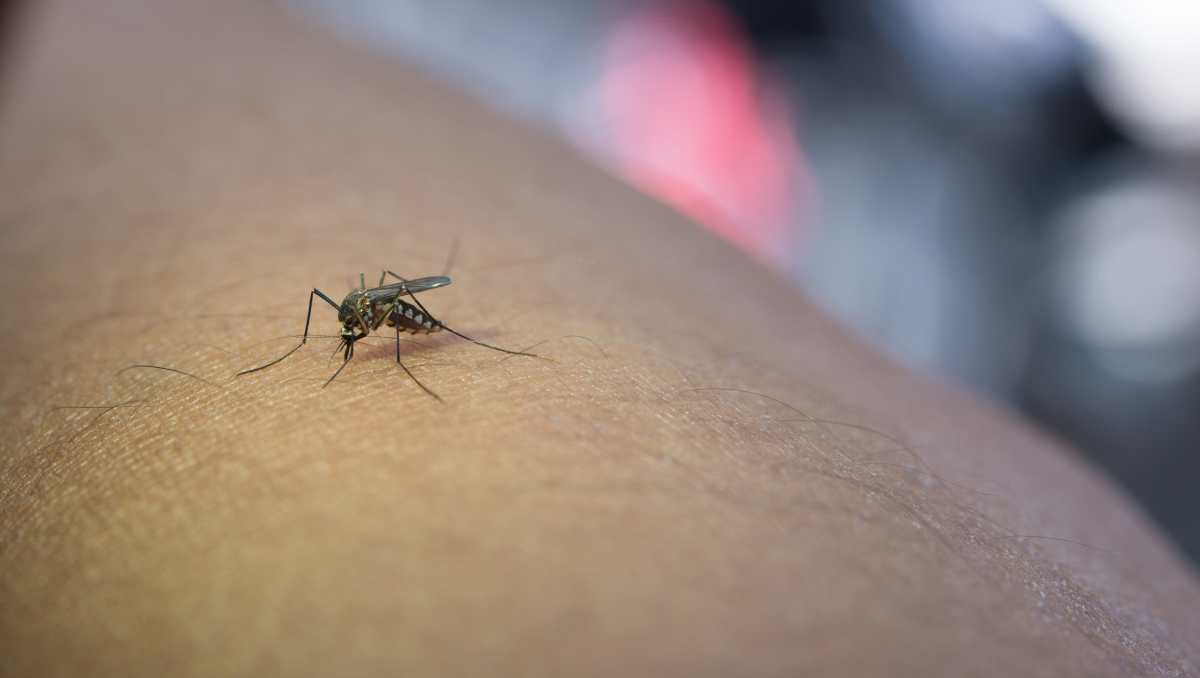 Los casos de dengue siguen aumentando en Guatemala.