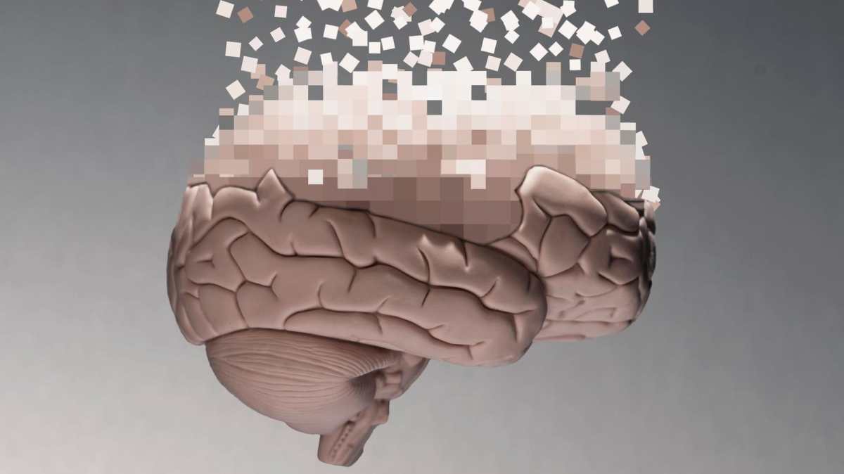 El cerebro humano sufre una radical configuración a partir de los 40 años. 