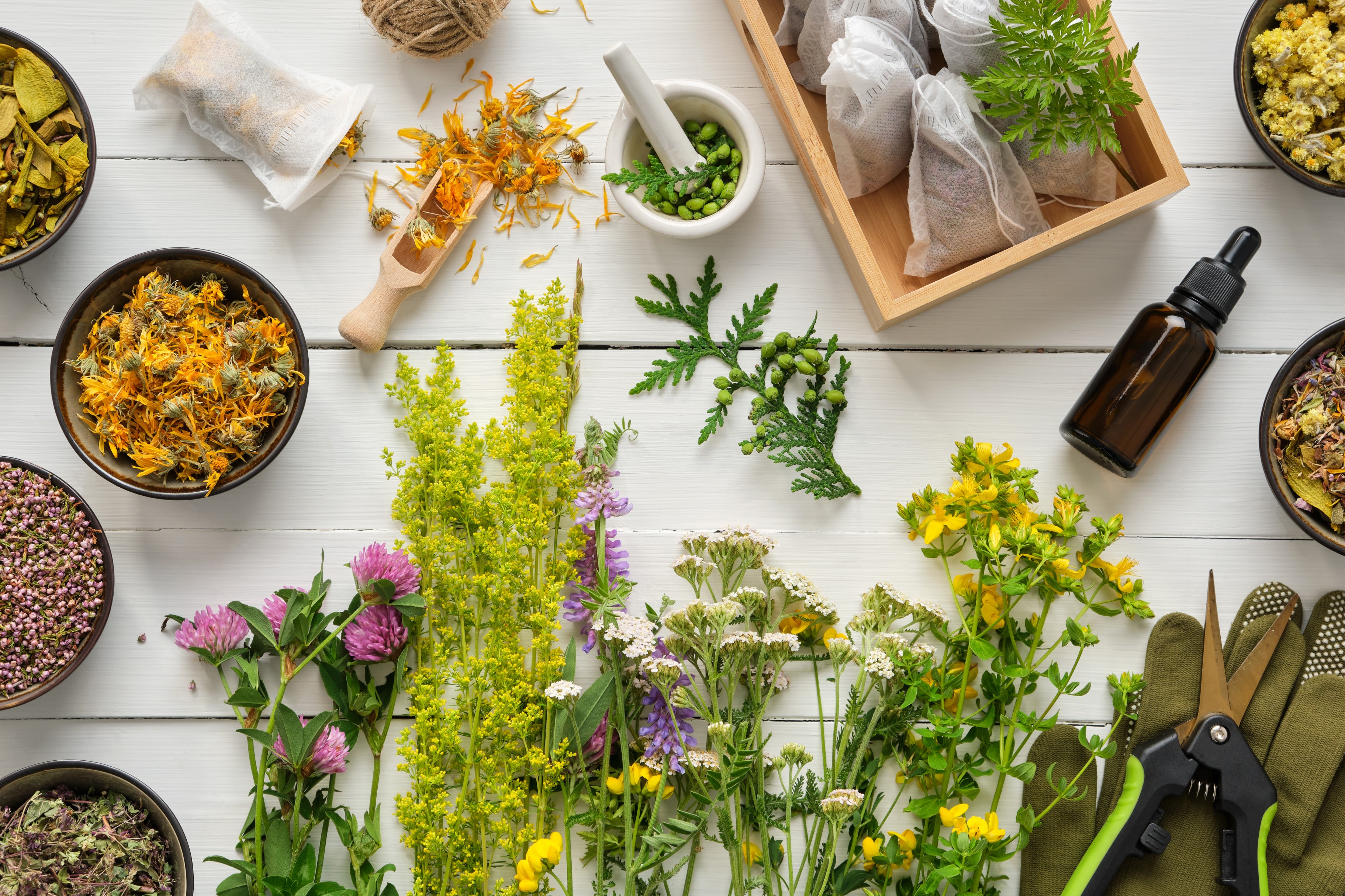 9 plantas medicinales para combatir el estrés y la tensión que pueden conseguirse fácilmente