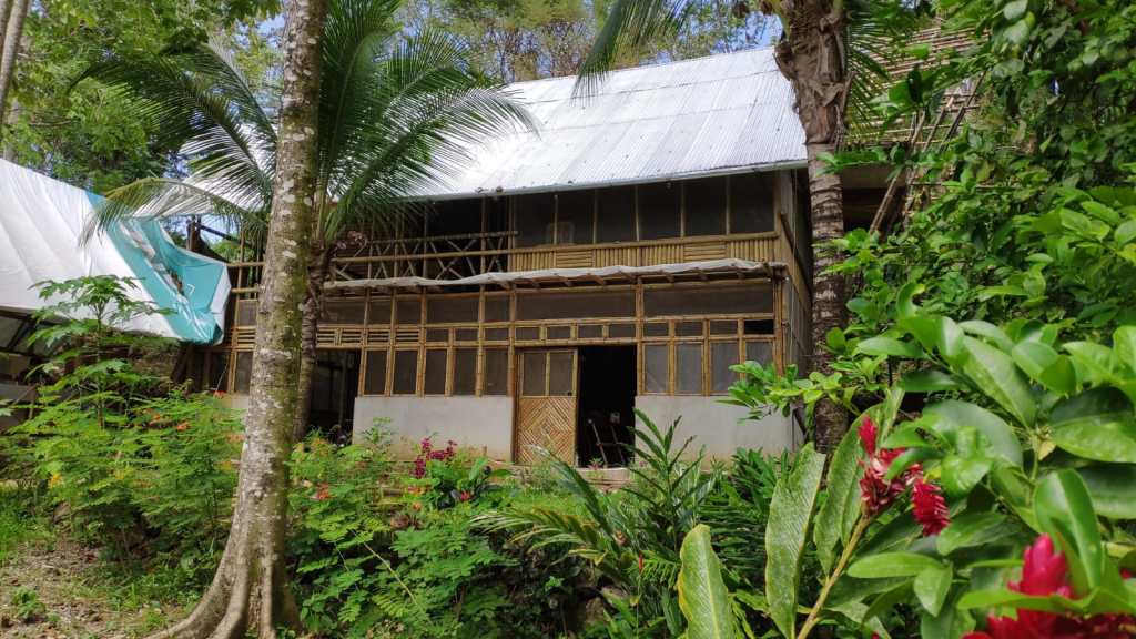 bambú construcción de viviendas